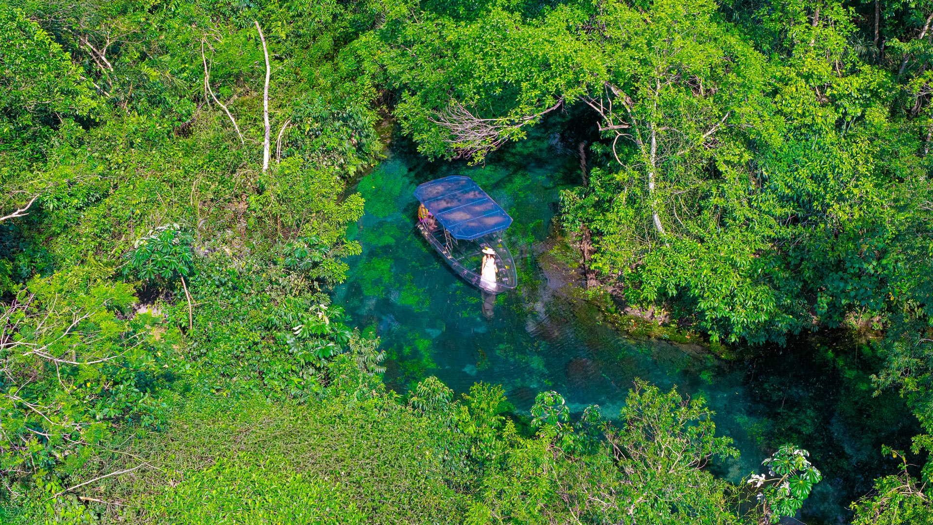 Nascentes da Palmeirinha | Bonito/MS